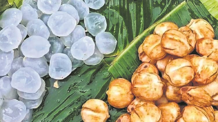 Saharsa News : नजरों से ओझल हो रहे शहतूत और जिलेबी