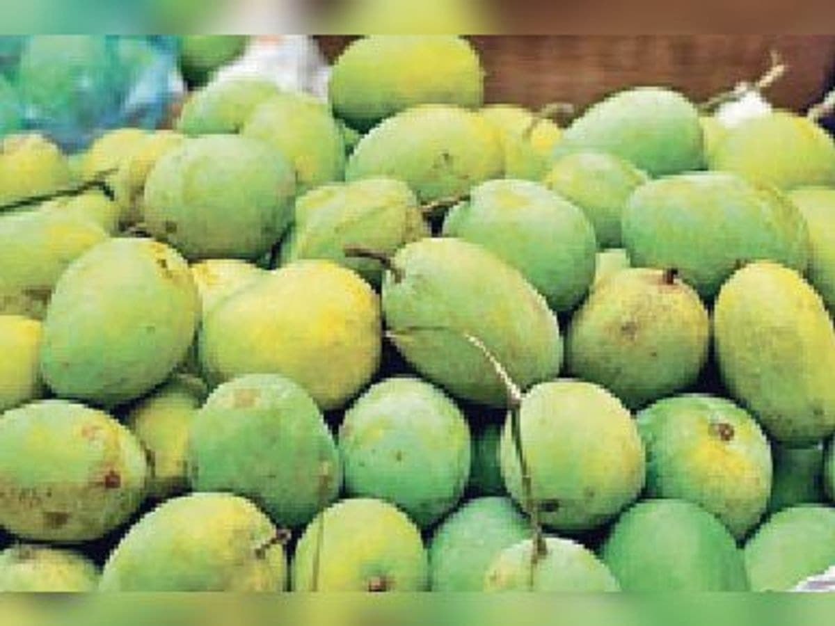 Bhagalpur News : 100 लोगों की मालदा-आनंद विहार एक्सप्रेस छूटी, हुए परेशान, स्टेशन अधीक्षक ने कहा- गलती यात्रियों की है