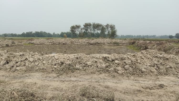 Saharsa News : दगा दे रहा है मॉनसून, अब तक सौ एमएम भी नहीं हुई बारिश