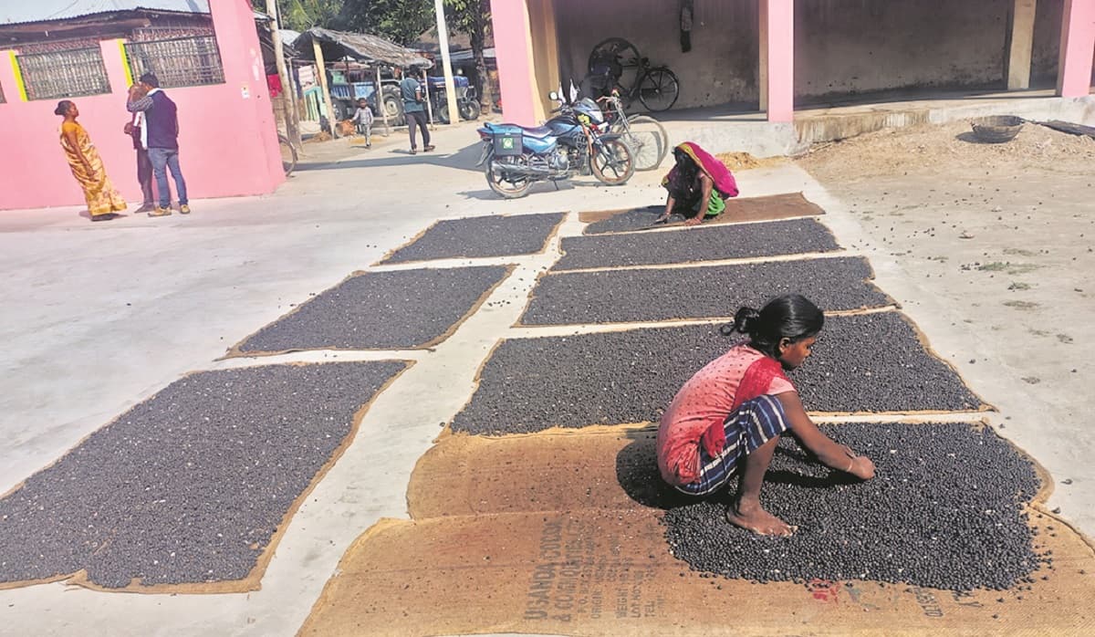 Supaul News : कोसी की पहचान मखाना की खेती से किसानों का हो रहा मोहभंग