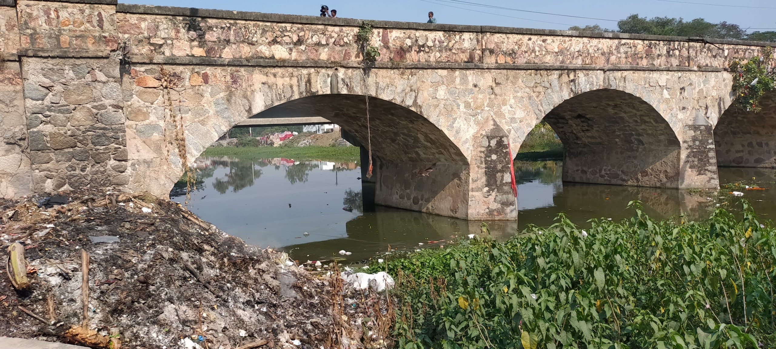 World Environment Day: पेड़ों की चढ़ाई बलि तो अब टूट रही सांसें, अब तो जागे