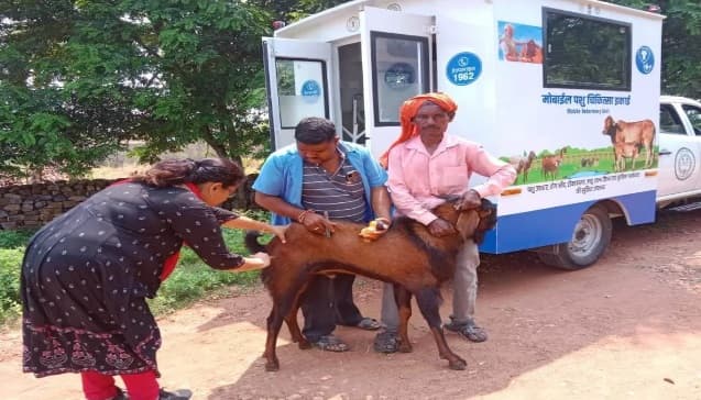 Bihar: बीमार पशुओं का अब घर पर ही होगा इलाज, नीतीश सरकार कर रही ये व्यवस्था