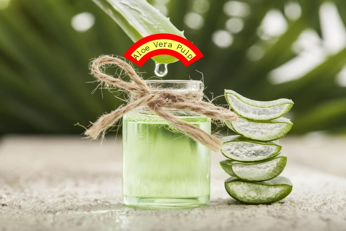 Aloe Vera Pulp: रोजाना एक चम्मच एलोवेरा का  गुद्दा खाने के 4 फायदे