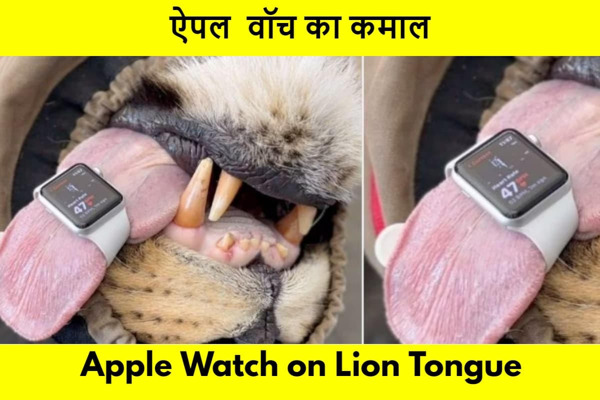WATCH: अब इंसान ही नहीं जानवरों का हार्ट रेट बता रहा Apple Watch