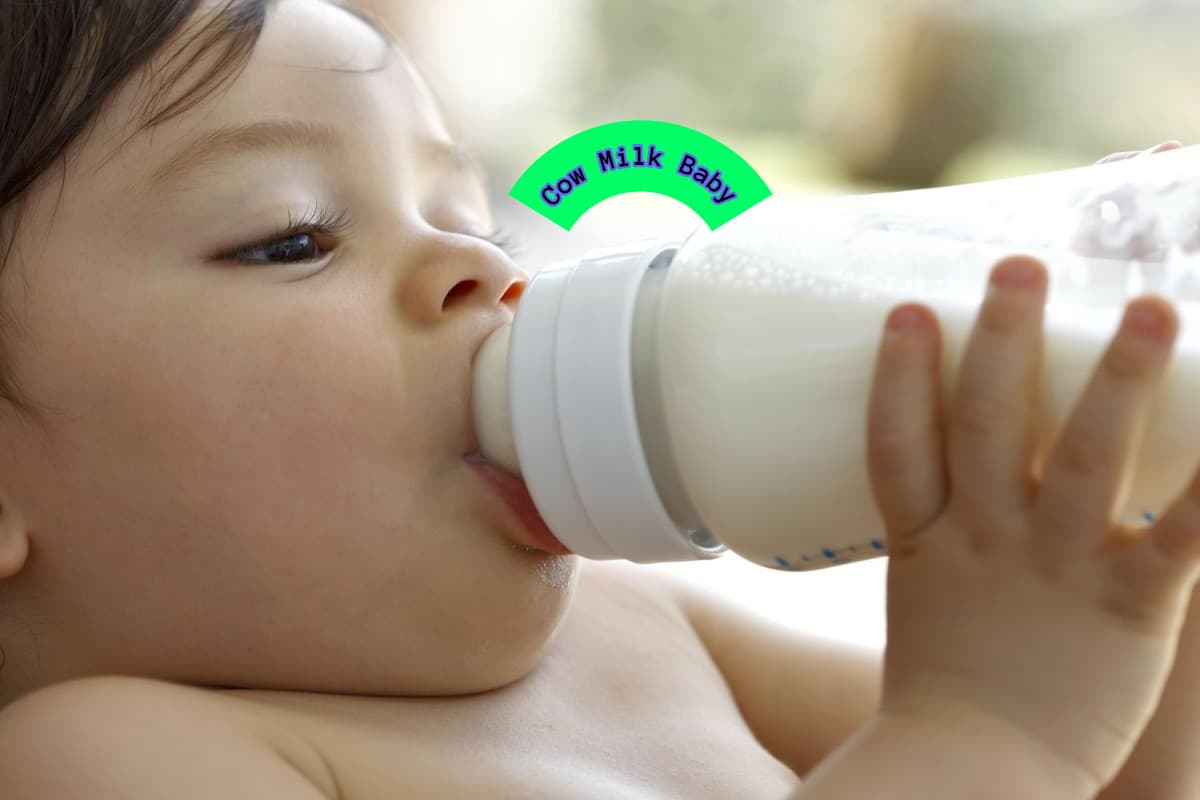 Cow Milk: 1 साल से छोटे बच्चे को गाय का दूध क्यों नहीं देना चाहिए?