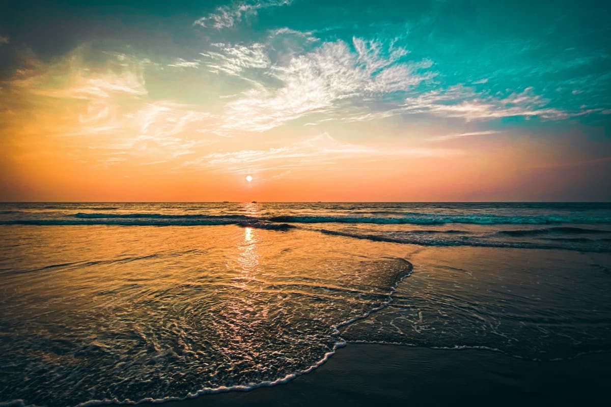 Nature Photography Day: कैमरे की नजर से सराहें प्रकृति की खूबसूरती को – नेचर फोटोग्राफी डे