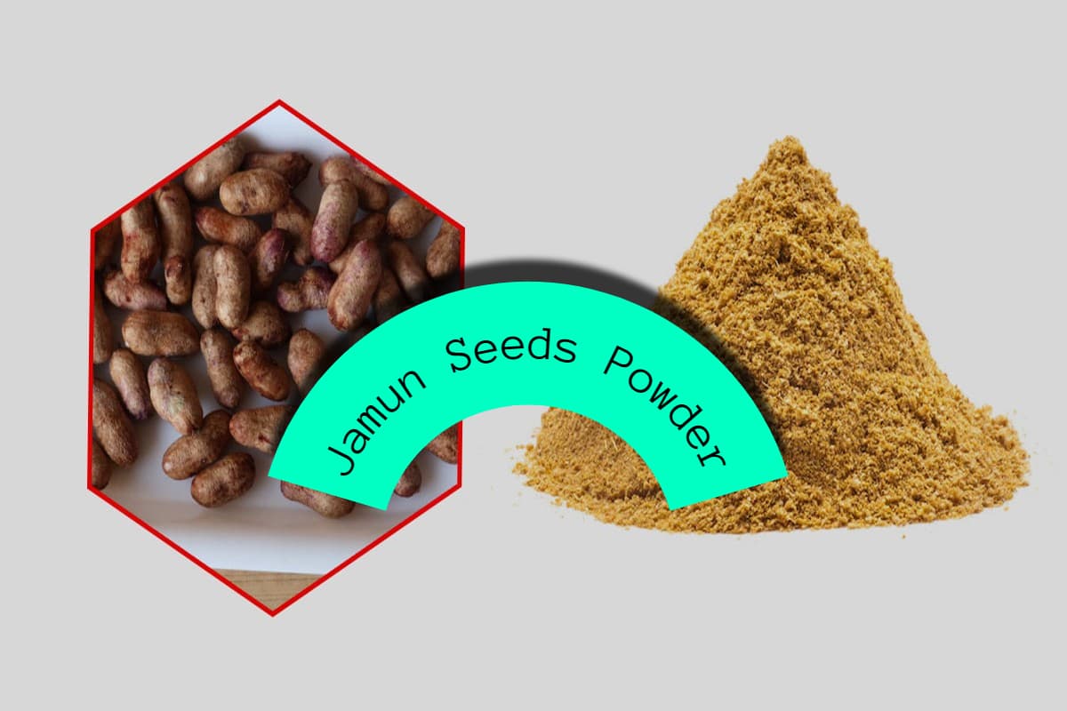 Jamun Seeds Powder: जामुन के बीज का पाउडर खाने के 4 सबसे बड़े फायदे