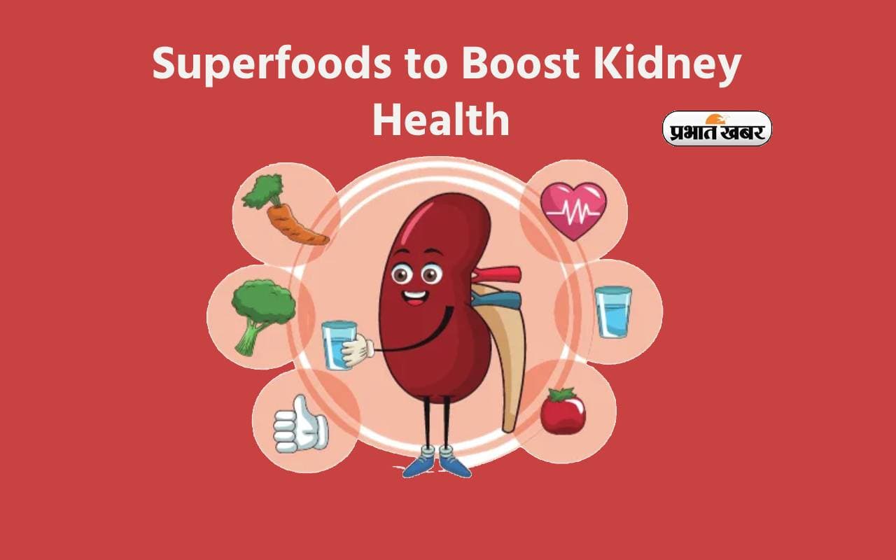 Kidney health tips Kidney health tips