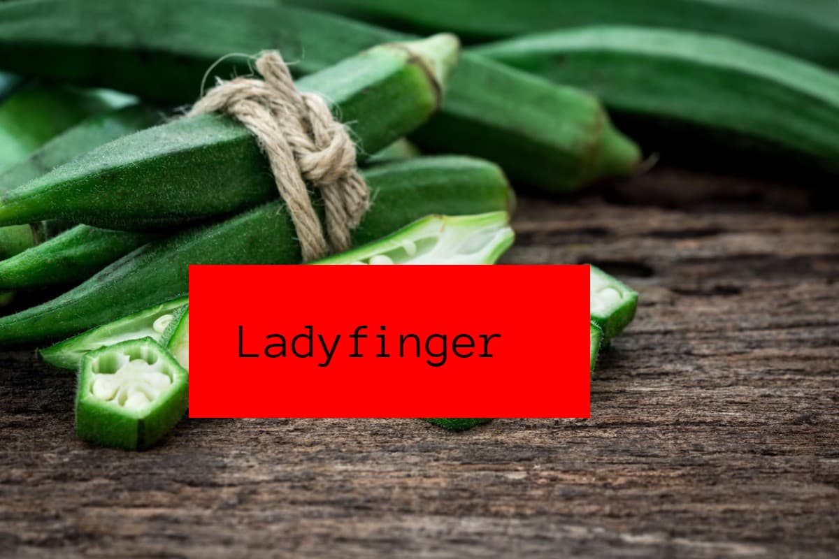Benefits Of Ladyfinger: भिंडी में छिपा है सेहत का राज, जानिए इसके फायदे