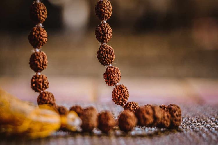 Rudraksha Benefits : क्या आयुर्वेद में रुद्राक्ष को चिकित्सीय गुणों का भंडार माना जाता है? जानिए कैसे करते हैं इस्तेमाल