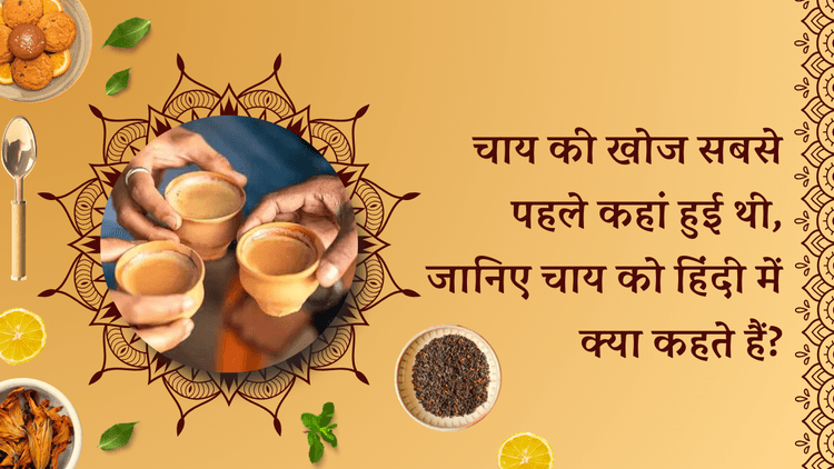 Tea History: जानें चाय की खोज सबसे पहले कहां हुई थी