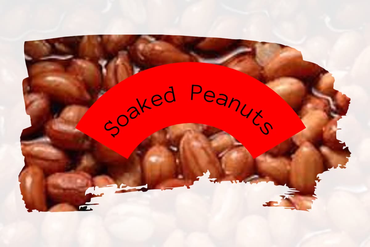 Soaked Peanuts: भीगी हुई मूंगफली खाने के 5 सबसे बड़े फायदे