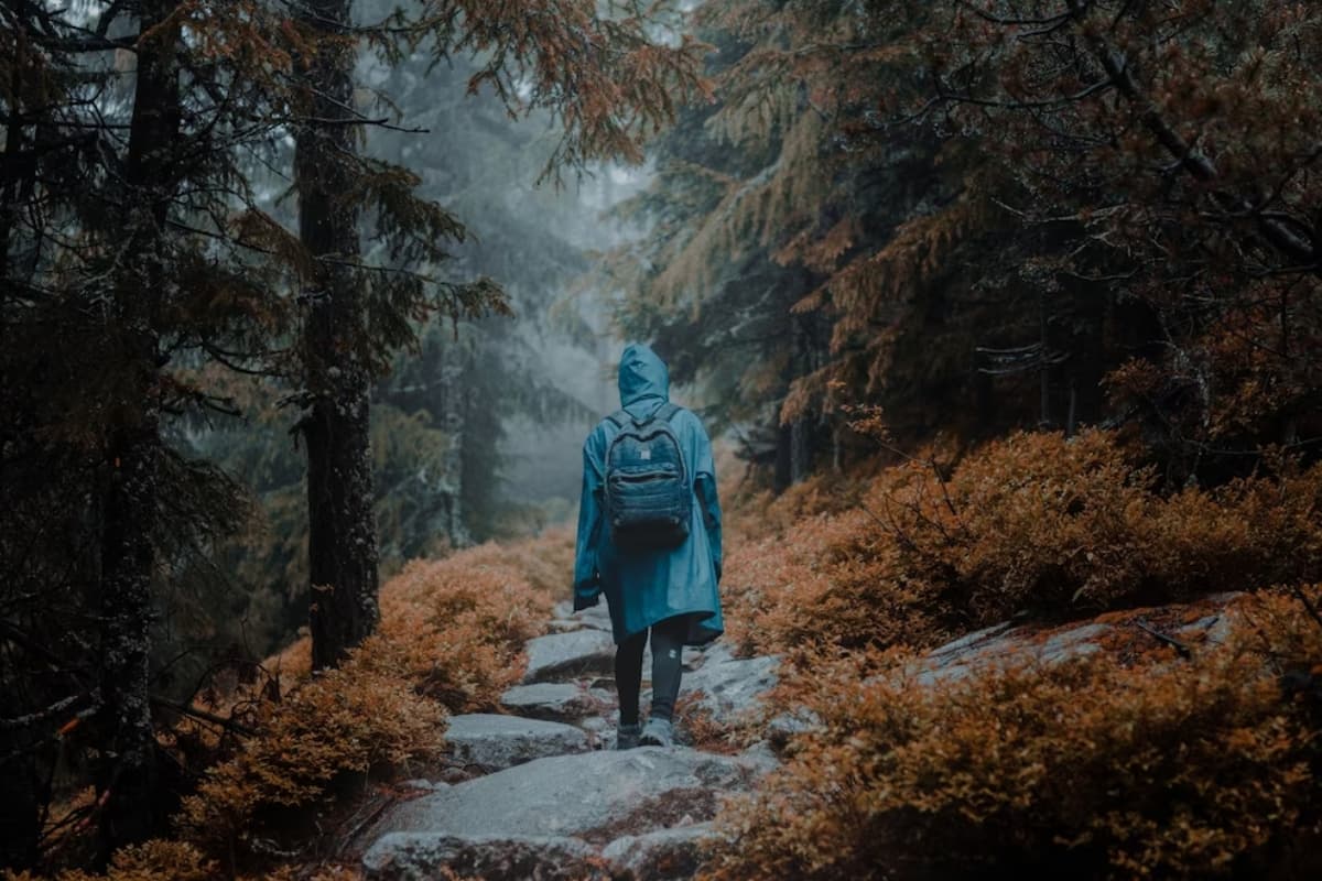 Travel Tips For Monsoon Trip: मानसून ट्रिप प्लान करते समय गलती से भी न भूले ये चीजें