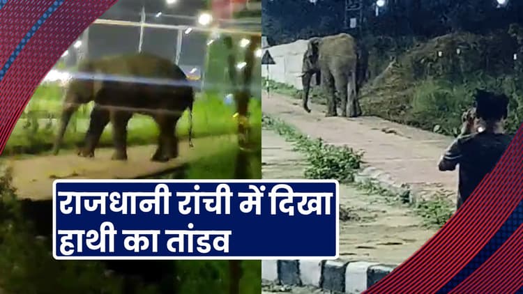 Jharkhand : राजधानी रांची में दिखा हाथी का तांडव, विधानसभा के पास घूमता आया नजर