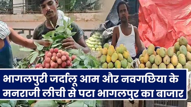 Bihar : भागलपुरी जर्दालू आम और नवगछिया के मनराजी लीची से पटा भागलपुर का बाजार