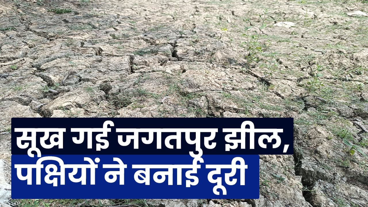 भागलपुर: सूख गई जगतपुर झील, पक्षियों ने बनाई दूरी
