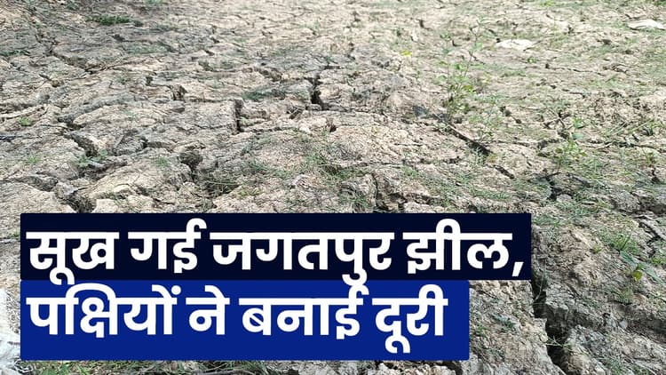 भागलपुर: सूख गई जगतपुर झील, पक्षियों ने बनाई दूरी