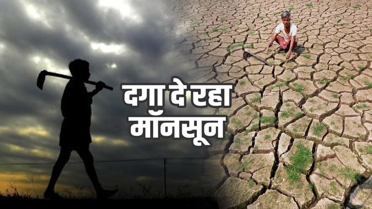 दगा दे रहा मॉनसून, आर्द्रा नक्षत्र में भी सूखे हैं खेत, अधिकांश जिलों में खेती लायक नहीं हुई बारिश