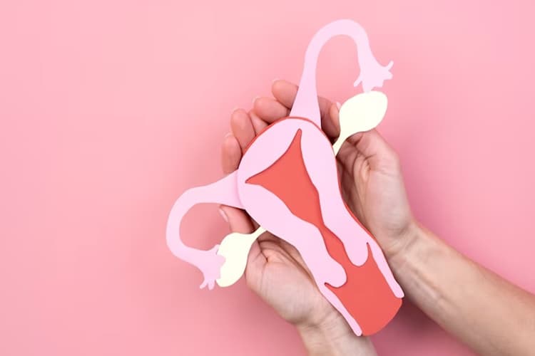 White discharge: सफेद स्राव के लिए टिप्स