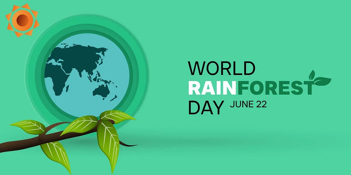 World Rainforest Day 2024: क्यों मनाते हैं विश्व वर्षावन दिवस, जानें इसका म