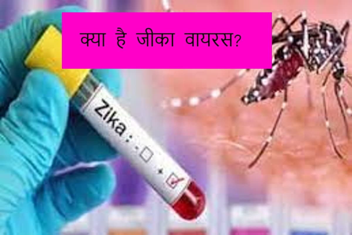 Zika virus: ज़ीका वायरस के कारण, लक्षण और उपचार को जाने