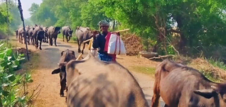 World Environment Day: बारिश की कमी यहां चार माह के लिए लोगों को कर देती हैं खानाबदोश