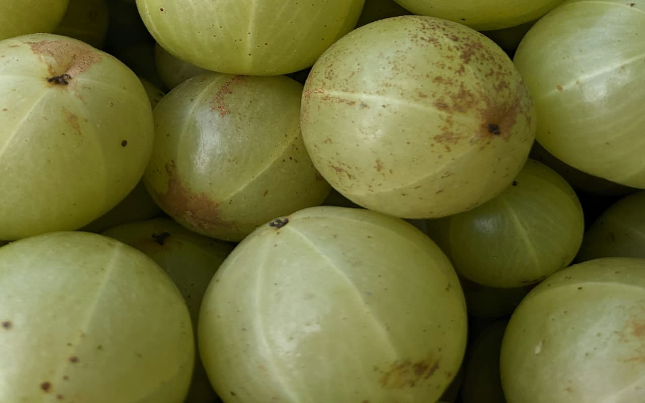 Anti Allergy दवाई फांक-फांक कर हो गए हैं तंग: तो ये देसी फल आजमाएं, सर्दी-खांसी दूर भगाएं