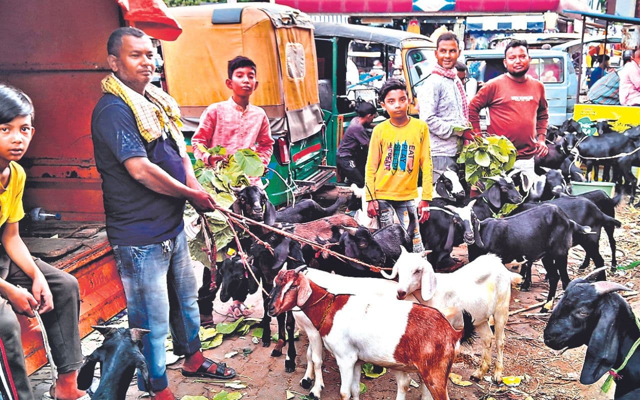 Bakrid: बकरीद पर प्रशासन अलर्ट, संवेदनशील इलाकों की होगी निगरानी, पुलिस को दिये ये निर्देश