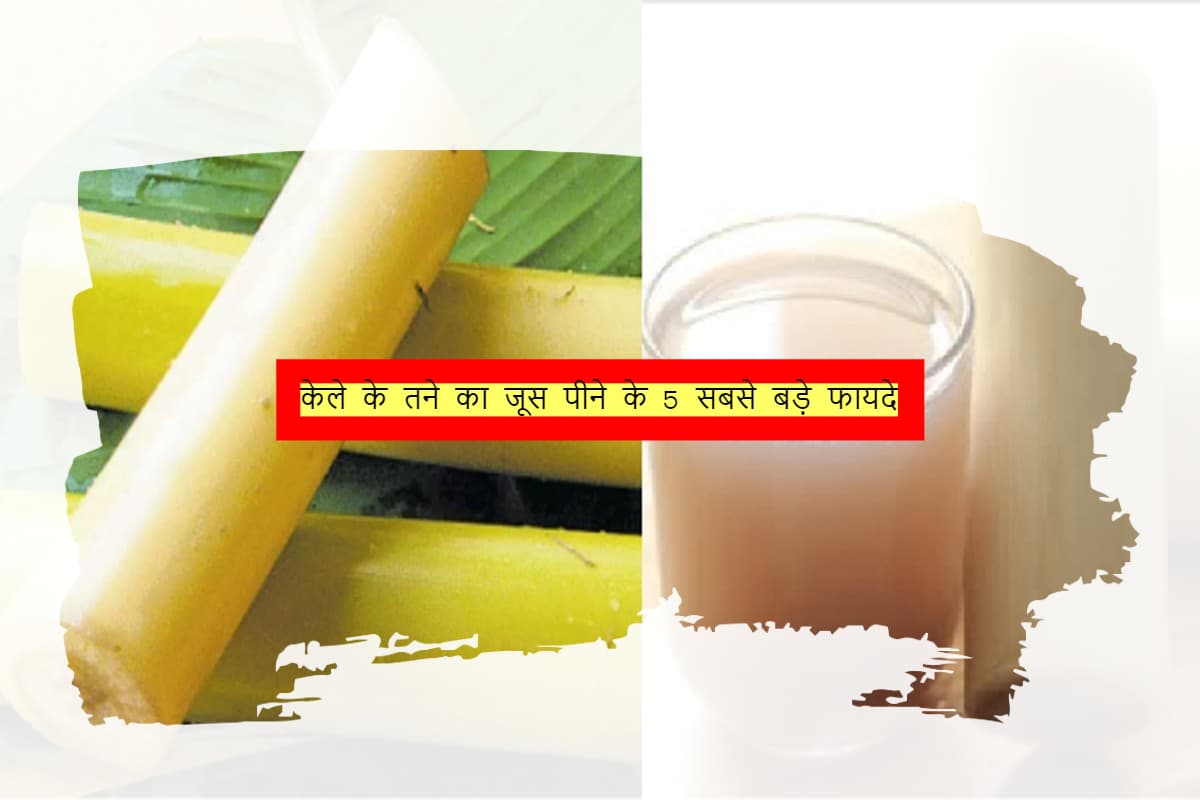 Banana Stem: केले के तने का जूस पीने के 5 सबसे बड़े फायदे
