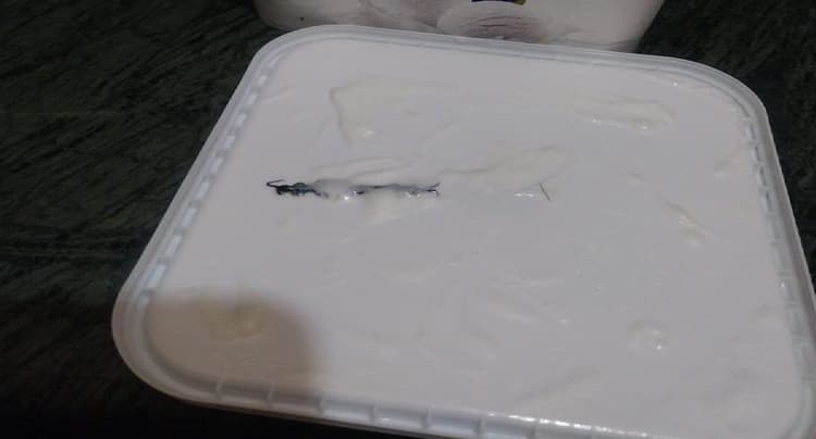 आइसक्रीम में मिला कनखजूरा, कंपनी ने प्रोडक्ट मांगा वापस