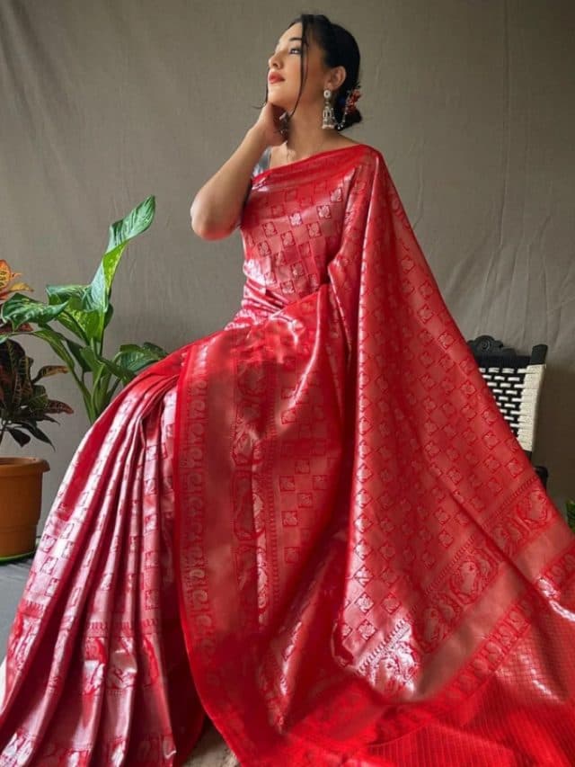 Vat Savitri Saree Ideas: वट सावित्री के मौके पर पहनें ये साड़ियां, दिखेंगी सबसे अलग