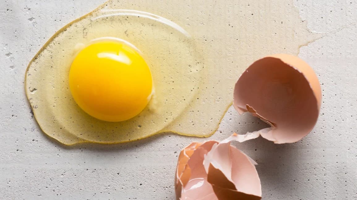 Should we Eat Egg Yolk or Not: क्या अंडे का पीला भाग खाना चाहिए या नहीं