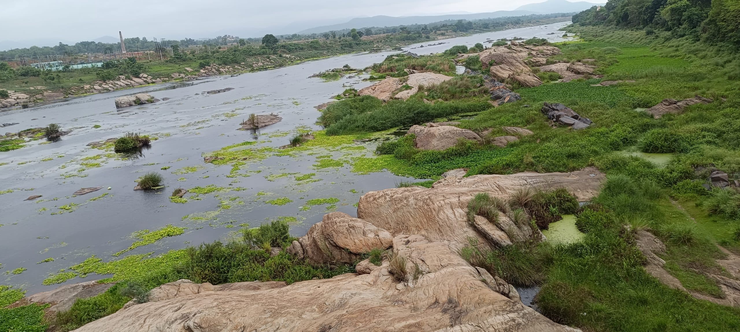 घाटशिला : पानी घटने से सुवर्णरेखा नदी बना ‘नर्क’, प्रचंड गर्मी से स्थिति गंभीर, दूर-दूर तक जलकुंभी और शैवाल दिख रहा