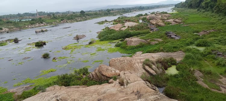 घाटशिला : पानी घटने से सुवर्णरेखा नदी बना ‘नर्क’, प्रचंड गर्मी से स्थिति गंभीर, दूर-दूर तक जलकुंभी और शैवाल दिख रहा