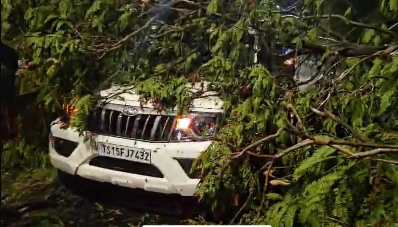 काल बैसाखी : राउरकेला, बंडामुंडा व लाठीकाटा में आंधी और बारिश से कई पेड़ उखड़े, घरों को नुकसान