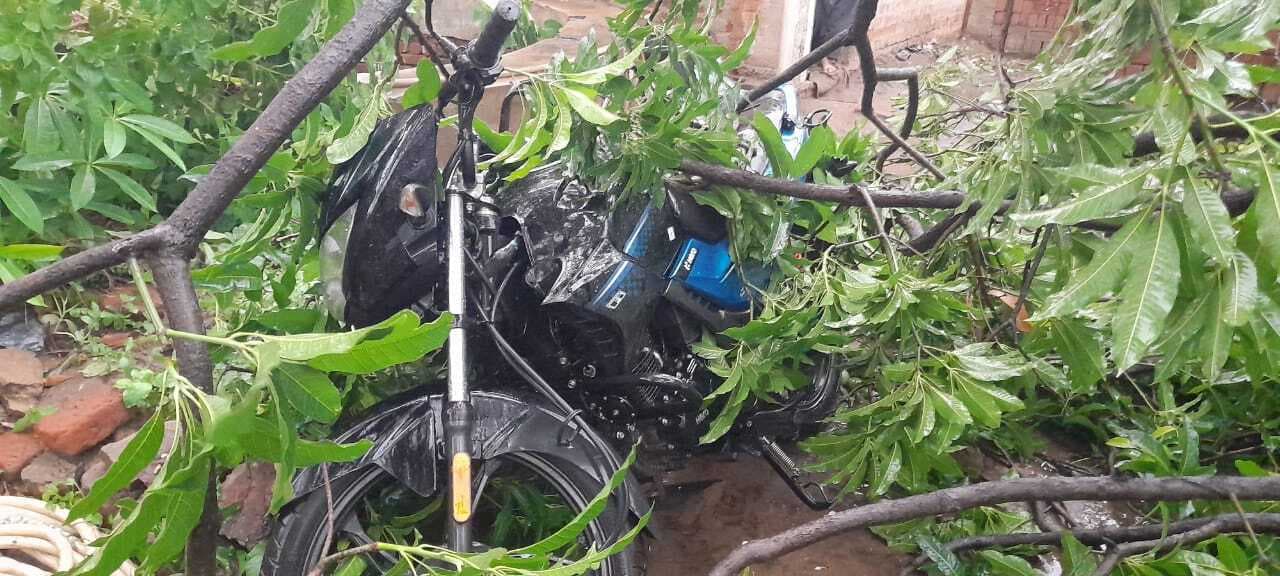 बेरमो में वर्षों बाद इतनी तेज आंधी, सैकड़ों पेड़ गिरे