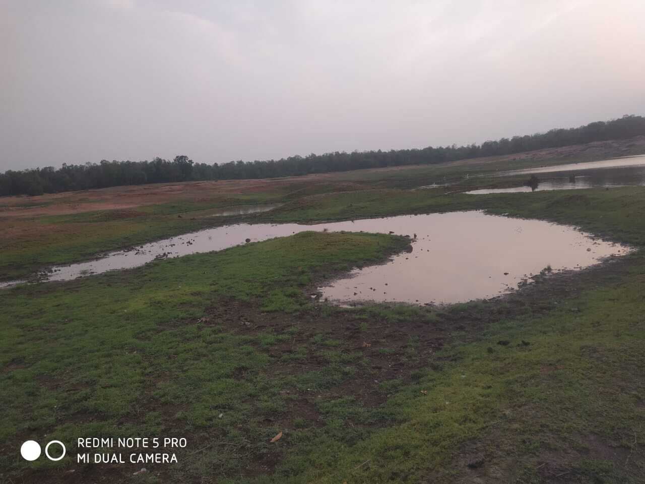 45 साल बाद भी लोटवा डैम की नहीं हुई साफ-सफाई