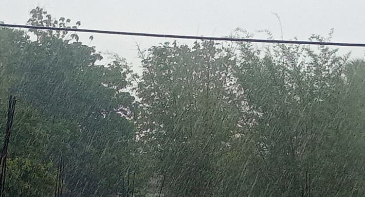 बारिश से लोगों को मिली राहत, किसानों के खिल उठे चेहरे