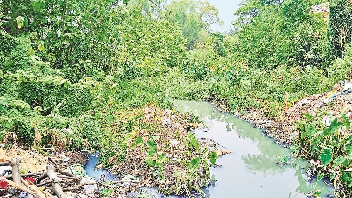 रांची की अधिकतर जलधाराएं गायब, बची हुईं नाले में हो रहीं तब्दील