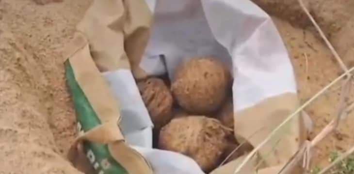 बीरभूम में मतगणना से पहले रात में कई बम मिलने से हड़कंप