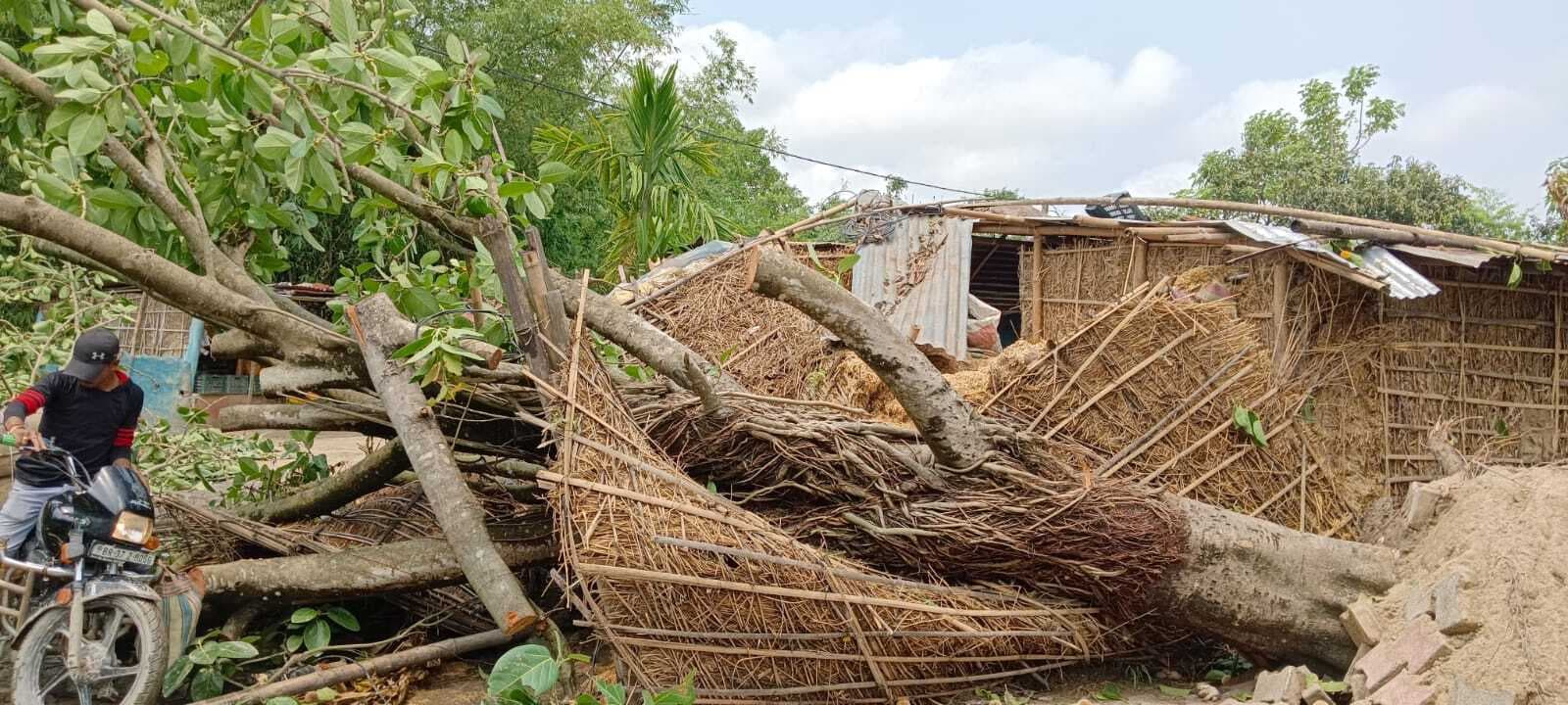 विवाहिता का शव बरामद, हत्या का आरोप