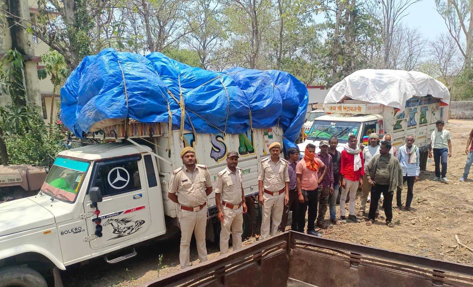 50 हजार का अवैध बीड़ी पत्ता लदा दो पिकअप वैन जब्त