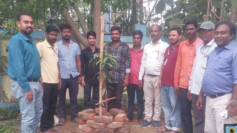 आश्रय स्थल पर किया गया पौधरोपण