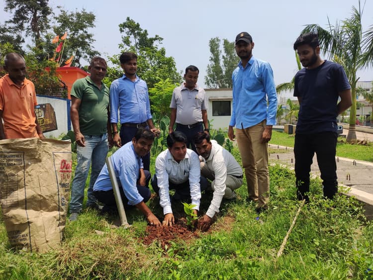 मेधा डेयरी के प्लांट परिसर में लगाये गये पौधे
