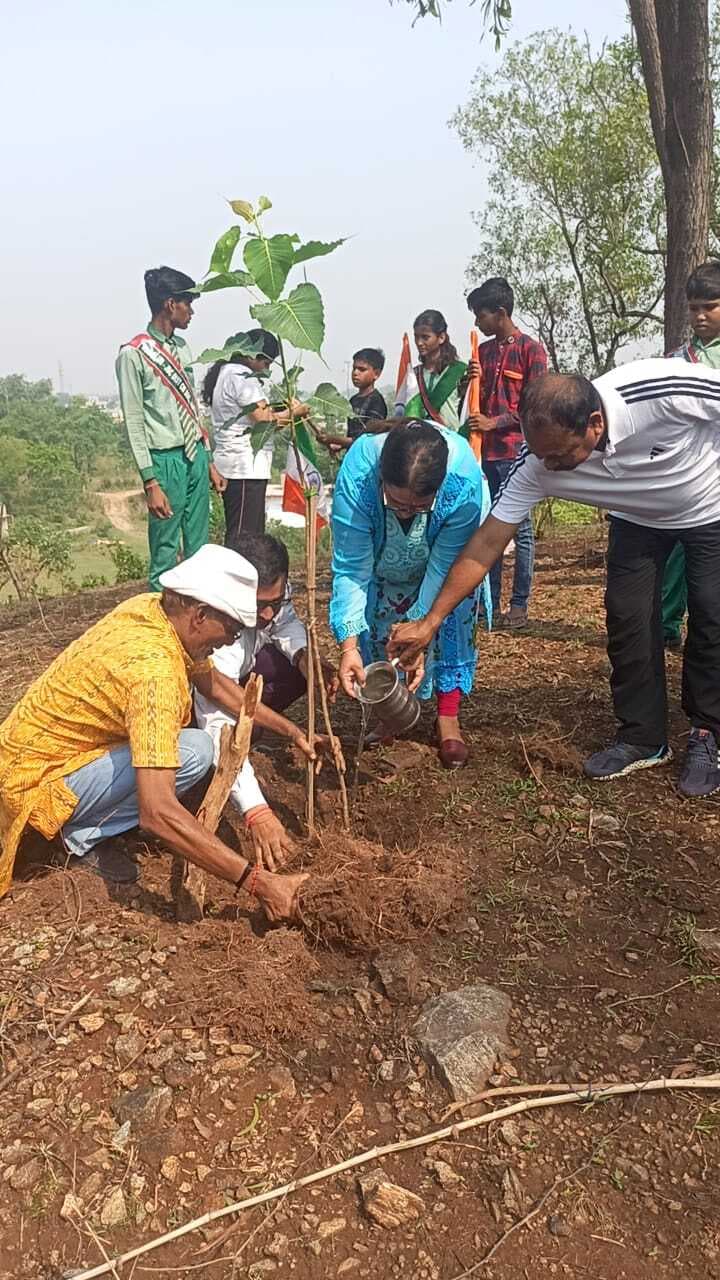 पेड़ हमारे लिए ऑक्सीजन सिलिंडर का करता है काम : डीसी