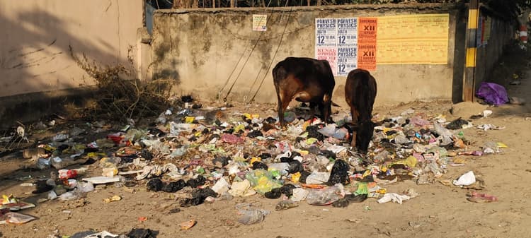 शहर के कचरे में हर दिन एक टन होता है पॉलीथिन