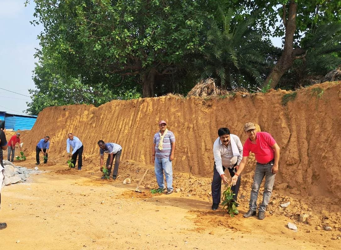पर्यावरण दिवस पर कोल माइंस क्षेत्र में पौधरोपण, पौधा लगाने को किया प्रेरित