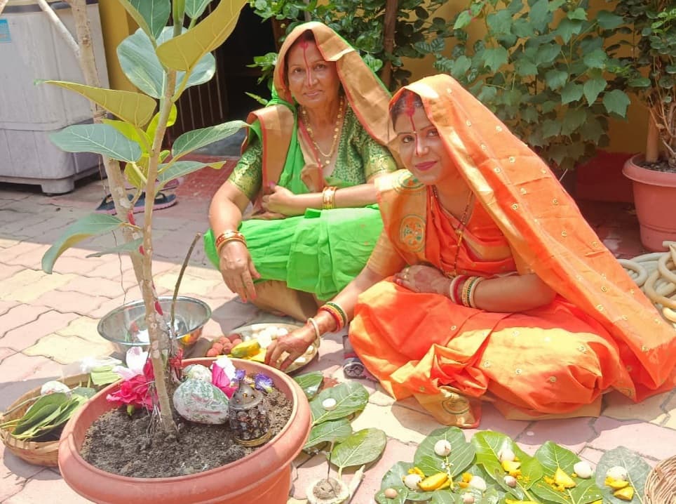 वट वृक्ष की पूजा कर सुहागिनों ने मांगा अखंड सुहाग का वरदान, शांति व समृद्धि की मांगी मन्नतें