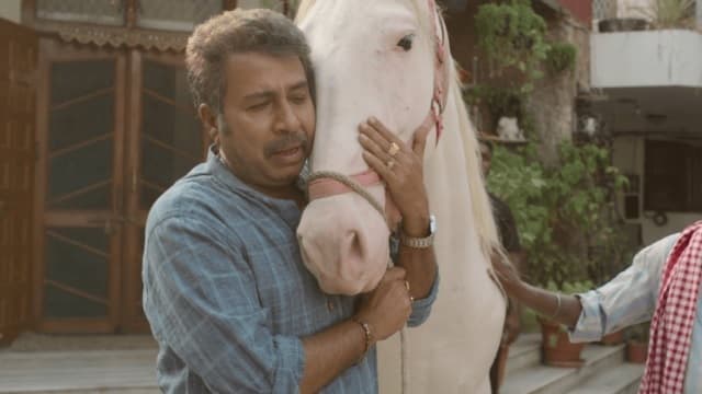 कोई भी एक्टिंग इंस्टिट्यूट अभिनय को सीखा नहीं सकती : पंकज झा