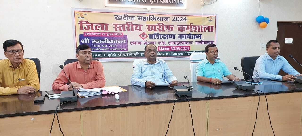 सरकारी नाव की करा लें मरम्मत: डीएम